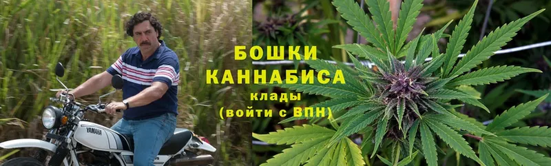 Бошки марихуана THC 21%  кракен как войти  Клин 